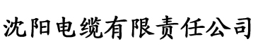 a∨在线无码小说电缆厂logo